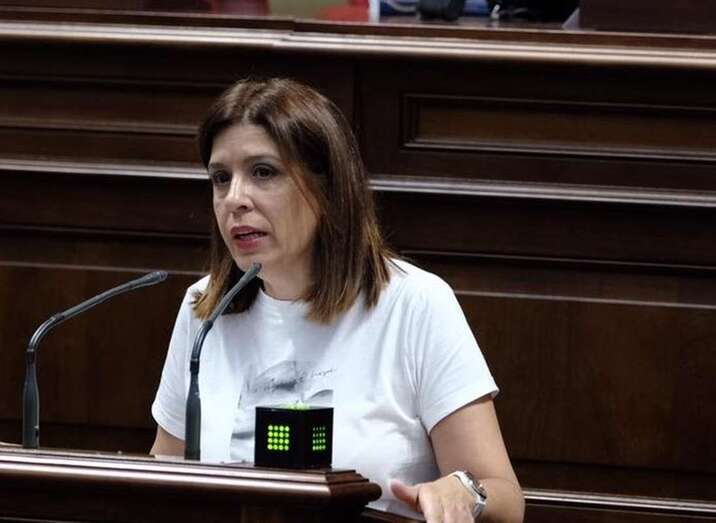Carmen Hernández durante su intervención este miércoles en el Parlamento canario (Foto TA)